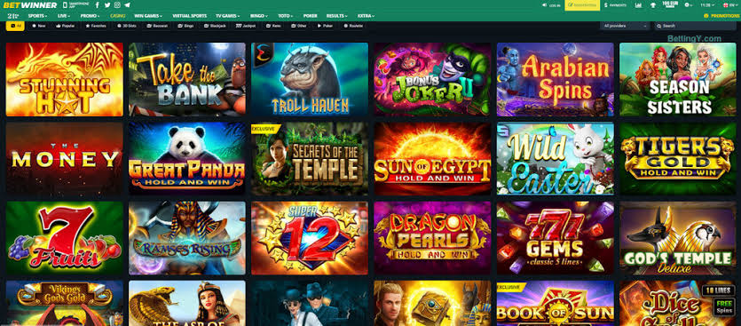 Discover BetWinner Your Ultimate Betting Platform