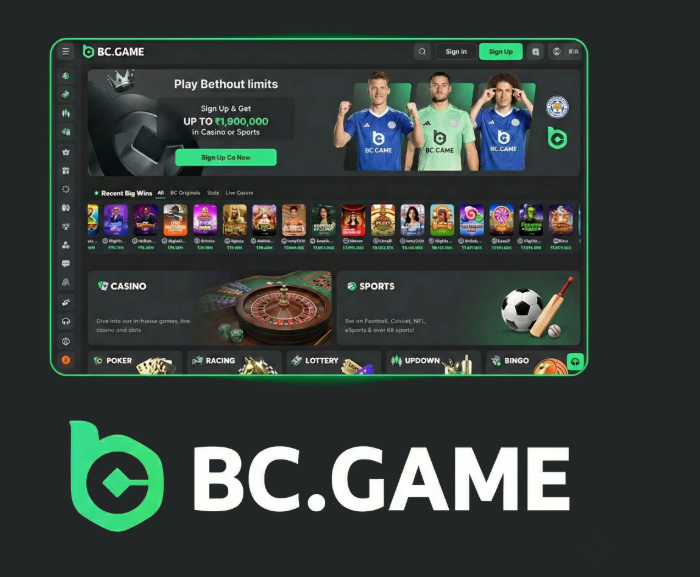 Explore the Exciting World of BC.Game Argentina Casino